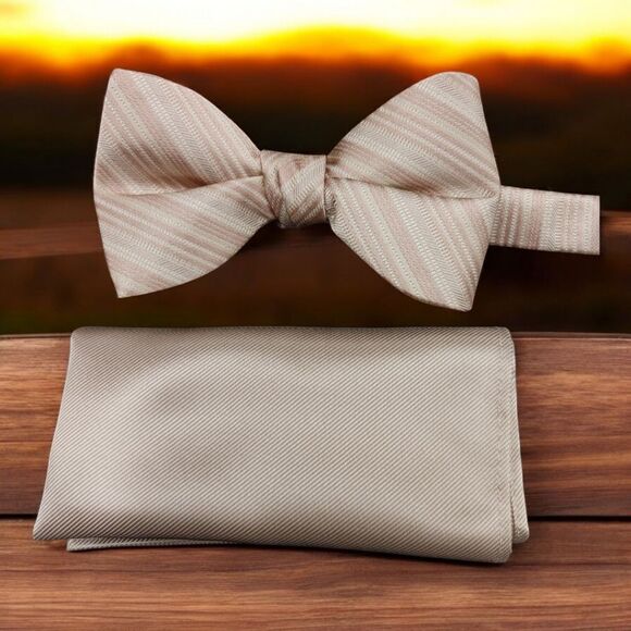 MEN'S LARR BRIO SIMPLY SOLID BALLET TONAL STRIPE BOW TIE & POCKET SQUARE SET. - Picture 1 of 3